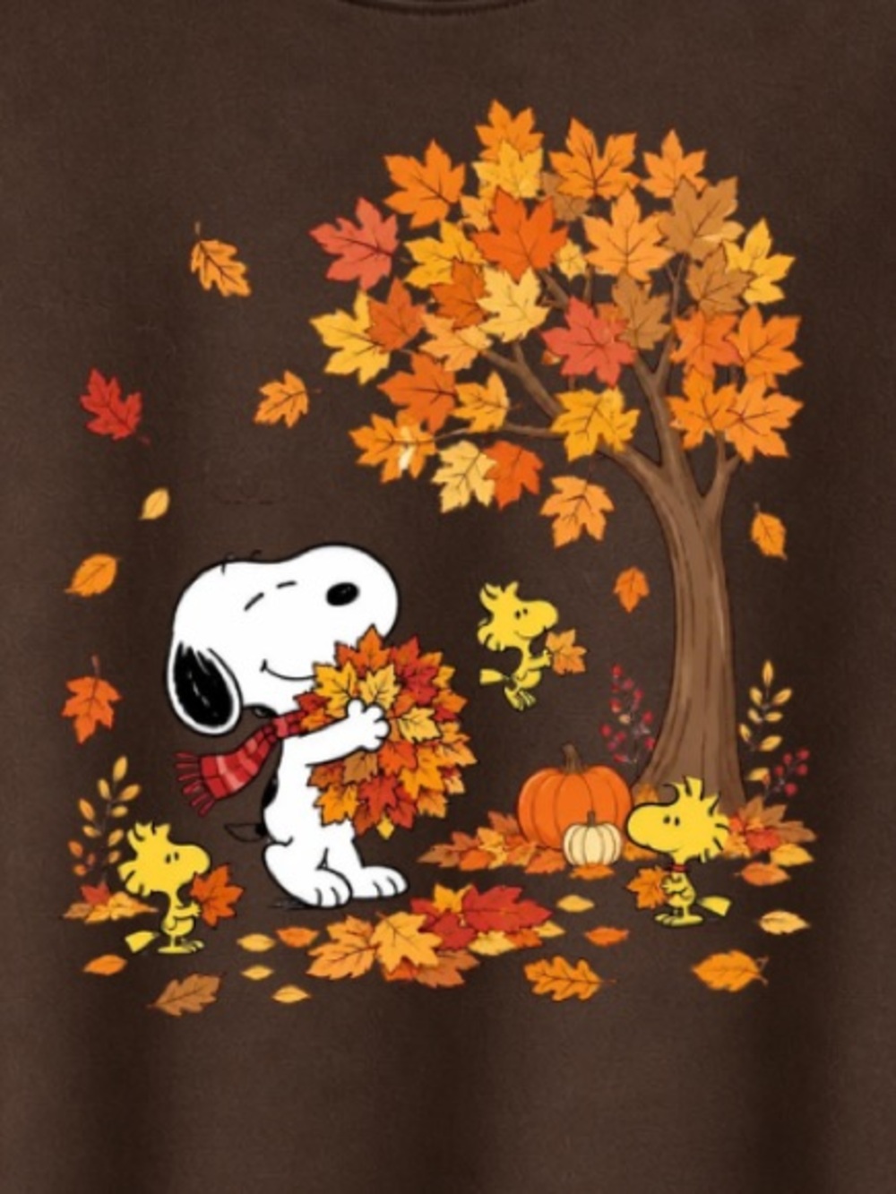 Dark Chocolate Snoopy Autumn Leaves Sweatshirt - Picture 2 of 3